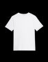 Marks & Spencer "Slim Fit Pure Cotton Crew Neck T-Shirt"